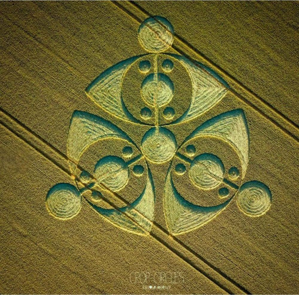 Crop circle géométrique dans un champ de blé à Grovely Wood (Wiltshire), motif de géométrie sacrée photographié du ciel